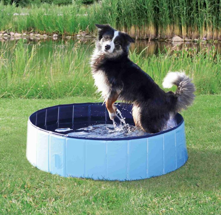 TRIXIE Hondenzwembad blauw 80 cm